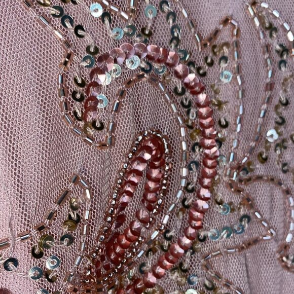 Pisarro Nights NWT Mesh cocktail dress - Picture 3 of 7